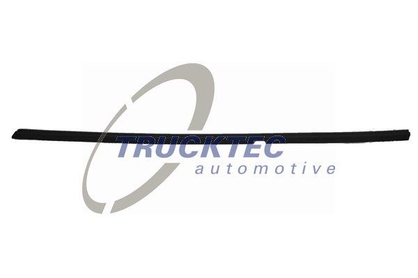TRUCKTEC AUTOMOTIVE 02.54.019 Trim/Protection Strip, door window