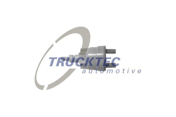 TRUCKTEC AUTOMOTIVE 02.56.001 Valve, vacuum pump