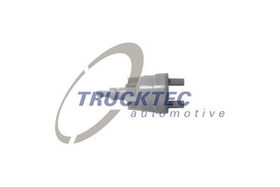 Valve, vacuum pump TRUCKTEC AUTOMOTIVE 02.56.001