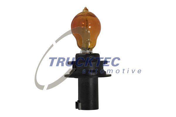TRUCKTEC AUTOMOTIVE 02.58.447 Bulb, direction indicator/end outline marker light