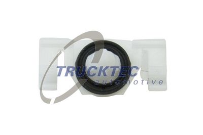 Clip, trim/protection strip TRUCKTEC AUTOMOTIVE 02.67.224