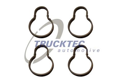Gasket, cylinder head cover TRUCKTEC AUTOMOTIVE 02.10.136