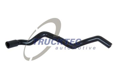 Hose, cylinder head cover ventilation TRUCKTEC AUTOMOTIVE 02.18.085