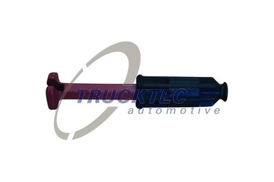 Plug, spark plug TRUCKTEC AUTOMOTIVE 02.42.323