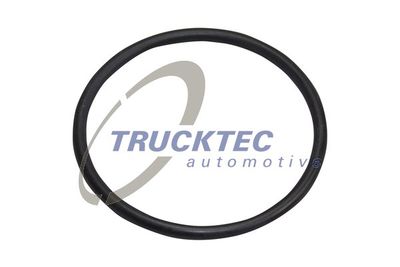 Seal Ring, steering knuckle TRUCKTEC AUTOMOTIVE 03.31.034