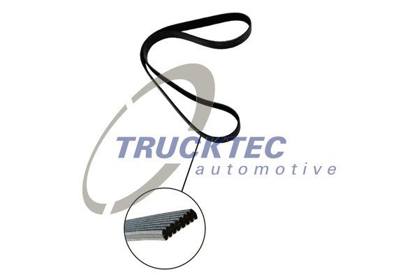 TRUCKTEC AUTOMOTIVE 07.19.135 V-Ribbed Belt