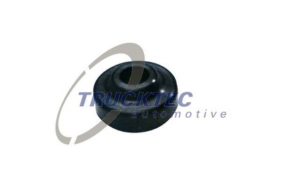 Seal Ring, cylinder head cover bolt TRUCKTEC AUTOMOTIVE 08.10.038