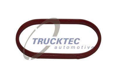 Gasket, intake manifold TRUCKTEC AUTOMOTIVE 08.10.061