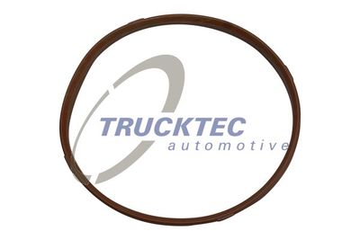 Gasket, intake manifold housing TRUCKTEC AUTOMOTIVE 08.13.002
