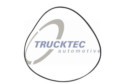 Seal Ring, coolant pipe TRUCKTEC AUTOMOTIVE 08.17.019