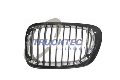 Radiator Grille TRUCKTEC AUTOMOTIVE 08.62.226