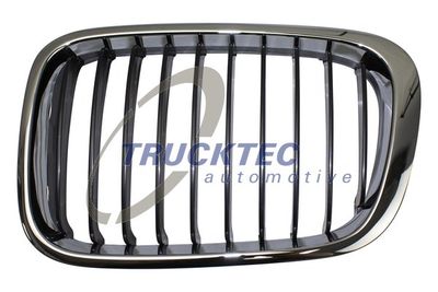 Radiator Grille TRUCKTEC AUTOMOTIVE 08.62.231