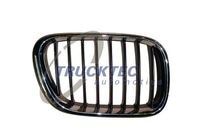 Radiator Grille TRUCKTEC AUTOMOTIVE 08.62.253