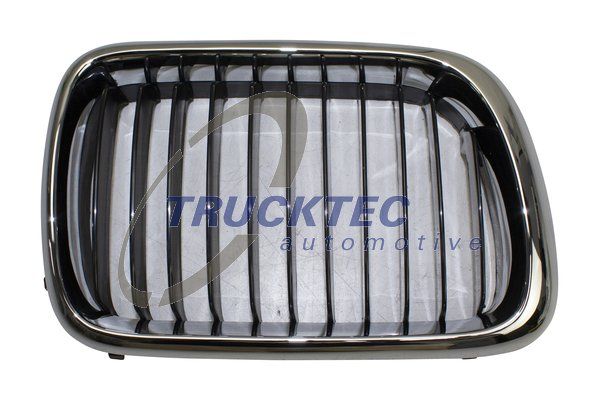 TRUCKTEC AUTOMOTIVE 08.62.256 Radiator Grille
