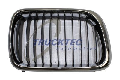 Radiator Grille TRUCKTEC AUTOMOTIVE 08.62.256
