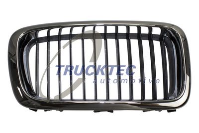 Radiator Grille TRUCKTEC AUTOMOTIVE 08.62.262