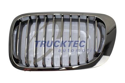 Radiator Grille TRUCKTEC AUTOMOTIVE 08.62.296