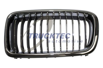 Radiator Grille TRUCKTEC AUTOMOTIVE 08.62.297