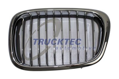 Radiator Grille TRUCKTEC AUTOMOTIVE 08.62.300