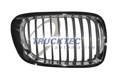 Radiator Grille TRUCKTEC AUTOMOTIVE 08.62.304