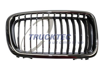 Radiator Grille TRUCKTEC AUTOMOTIVE 08.62.305