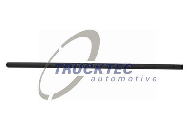 Trim/Protection Strip, door TRUCKTEC AUTOMOTIVE 08.62.850