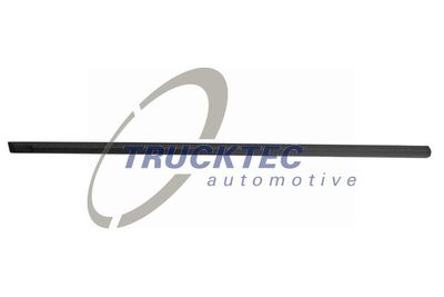 Trim/Protection Strip, door TRUCKTEC AUTOMOTIVE 08.62.853