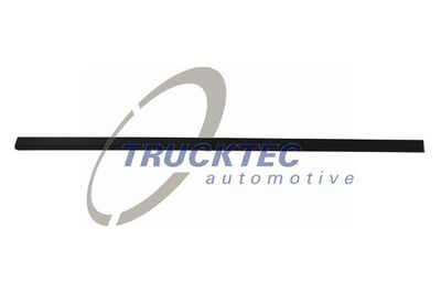 Trim/Protection Strip, door TRUCKTEC AUTOMOTIVE 08.62.902
