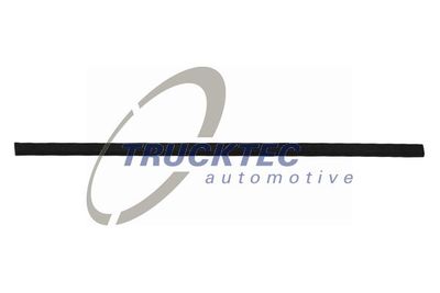 Trim/Protection Strip, door TRUCKTEC AUTOMOTIVE 08.62.903