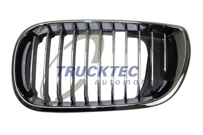Radiator Grille TRUCKTEC AUTOMOTIVE 08.62.298