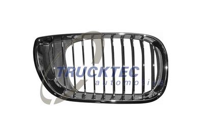 Radiator Grille TRUCKTEC AUTOMOTIVE 08.62.306