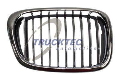 Radiator Grille TRUCKTEC AUTOMOTIVE 08.62.308