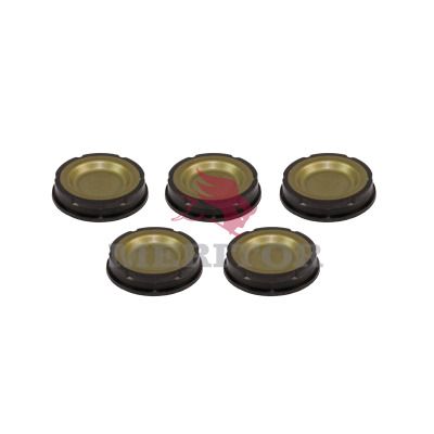 Repair Kit, brake caliper TRUCKTECHNIC CKSK.3.4