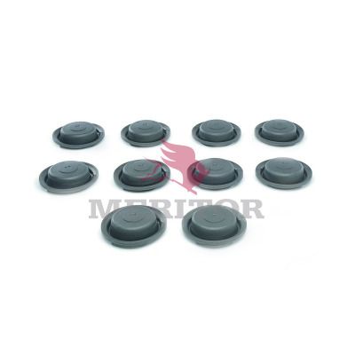 Mounting Kit, diaphragm brake cylinder TRUCKTECHNIC TSK.5.16K.64