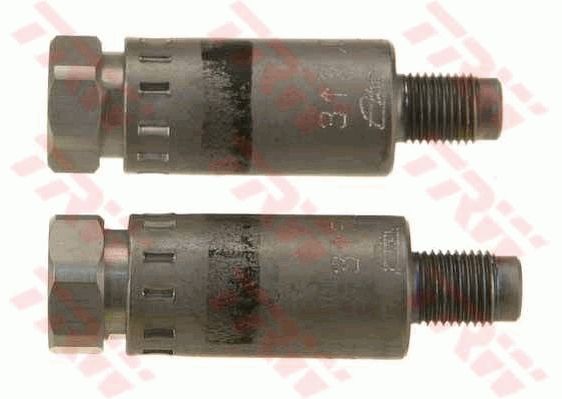 TRW GPV1273 Brake Force Regulator