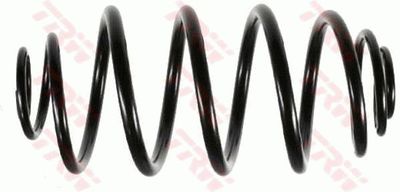 Suspension Spring TRW JCS403