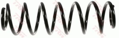 Suspension Spring TRW JCS454