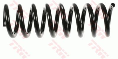 Suspension Spring TRW JCS669