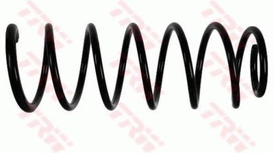 Suspension Spring TRW JCS820