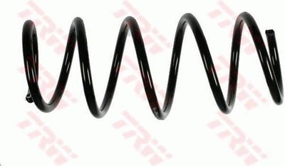 Suspension Spring TRW JCS989