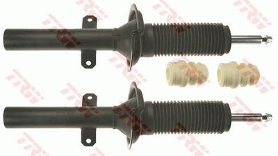 Shock Absorber TRW JGM1062T
