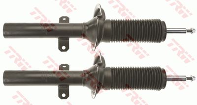 Shock Absorber TRW JGM1066T