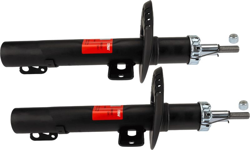 TRW JGM306T Shock Absorber