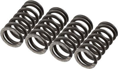Clutch Spring Set TRW MEF147-4