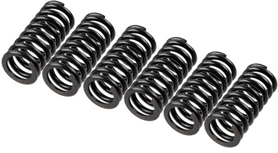 TRW MEF154-6 Clutch Spring Set