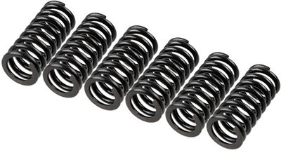 Clutch Spring Set TRW MEF154-6