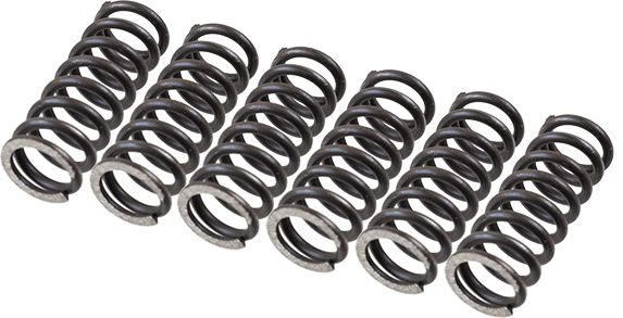 TRW MEF155-6 Clutch Spring Set