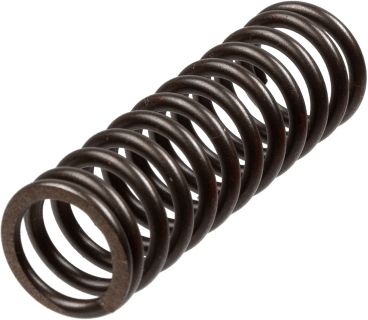 Clutch Spring Set TRW MEF303-6