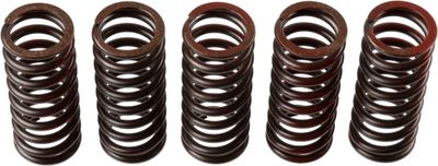 Clutch Spring Set TRW MEF304-5