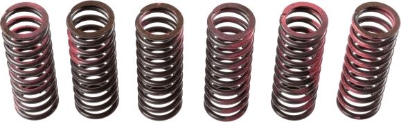 TRW MEF307-6 Clutch Spring Set